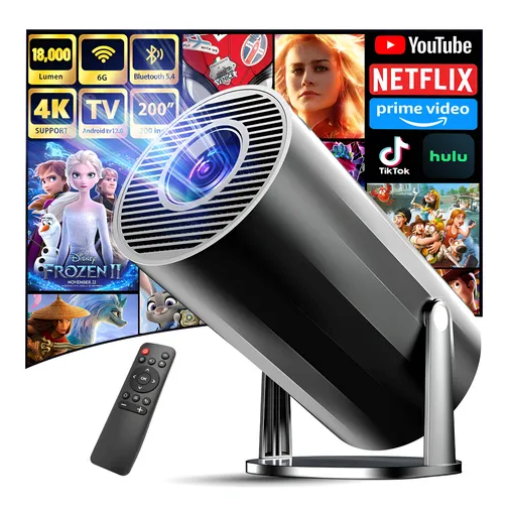 Proyector